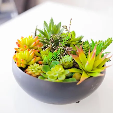 Cm Vintage - Breiner Porto