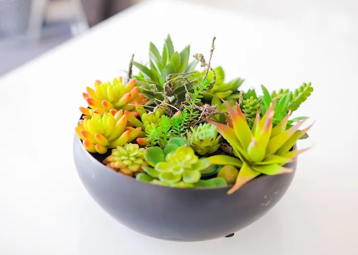 Cm Vintage - Breiner Πόρτο